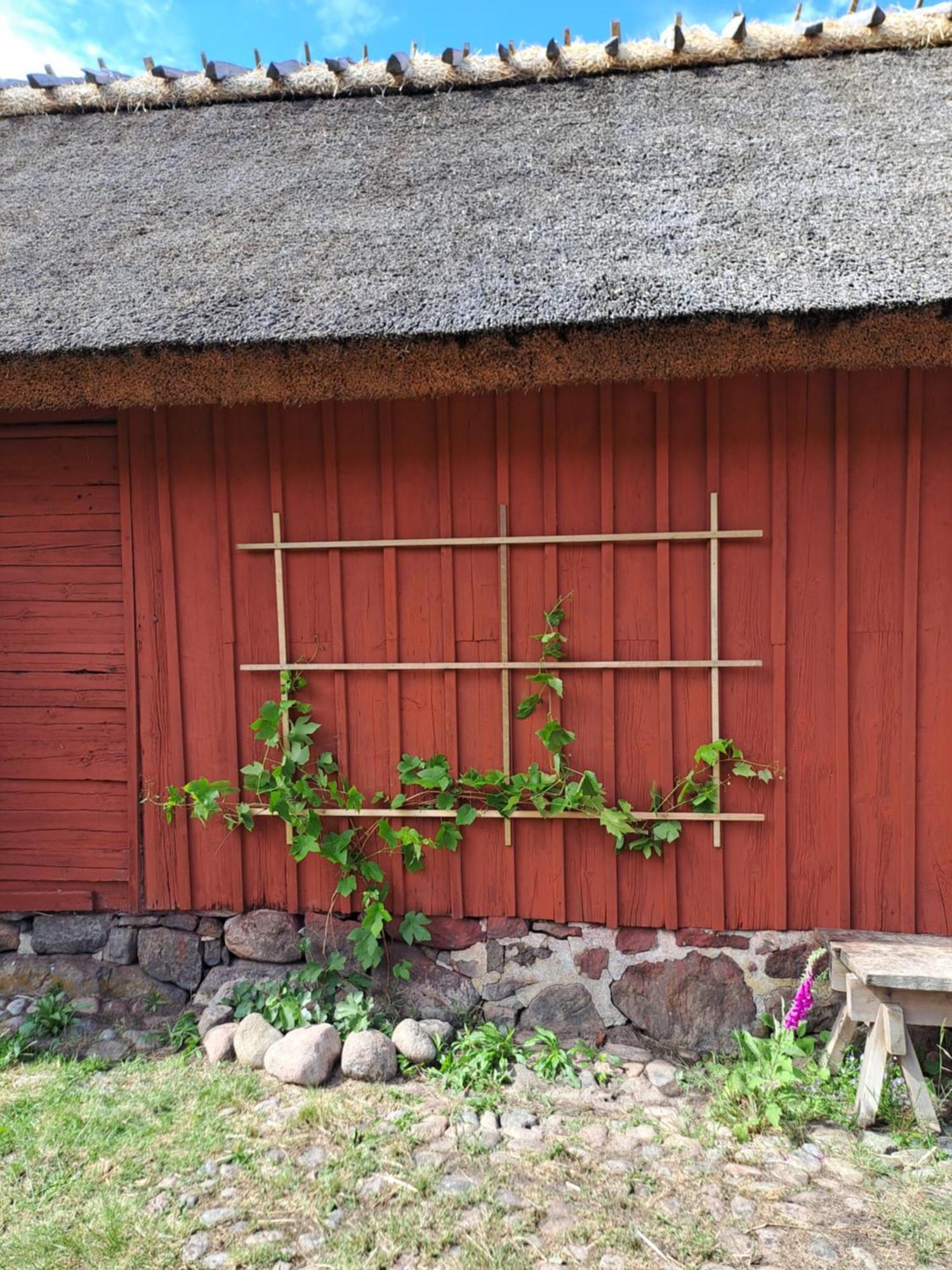 Apelviksgarden B&B Varberg Exteriér fotografie
